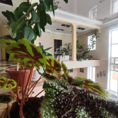 Дом | 0.00 м² 81