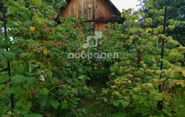 Березовский, Свердловская область, г. Березевский, спо 85, участок 34