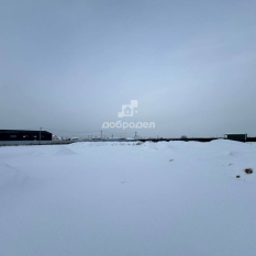 1500.00 м² | 1 - 1 эт. 61