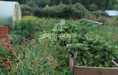 Курорт-Самоцвет, ул. Центральная