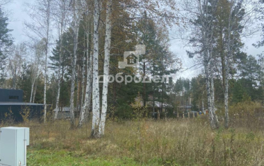 дп Заповедник, кв-л Кедровка,13