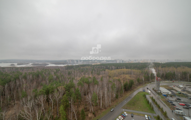 Екатеринбург, мкр. Светлый,1