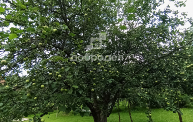 Березовский, Свердловская область, г. Березевский, спо 85, участок 34