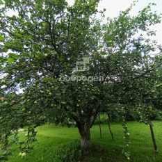 Участок | 54.00 сот. 190