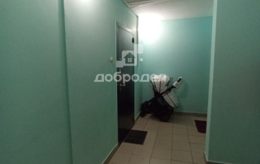 Екатеринбург, ул. Краснолесья,117