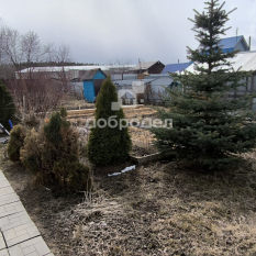 Дом | 20.00 м² 191