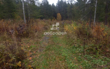 Новоуткинск, 