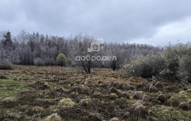 Дегтярск, ул. Валентины Терешковой, 21