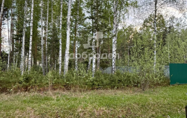 Екатеринбург, кп. Заповедник, п. Габиевский, Лисий лес,18
