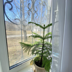 2-к квартира | 42.00 м² | 1 - 5 эт. 51