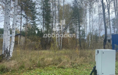 дп Заповедник, кв-л Кедровка,12