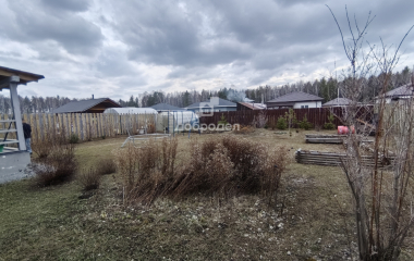 Косулино, 12