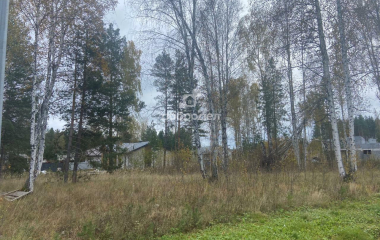 дп Заповедник, кв-л Кедровка,12