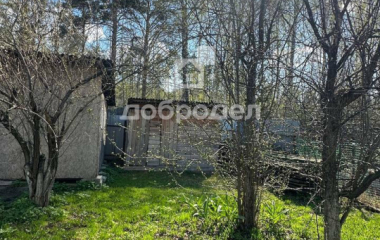 Гагарский, р-н Белоярский, СНТ "Гагарское"