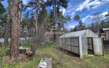 Екатеринбург, СПК Шувакишский