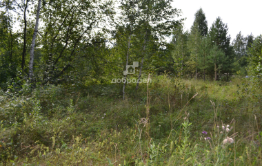 Каменский городской округ, поселок Горный
