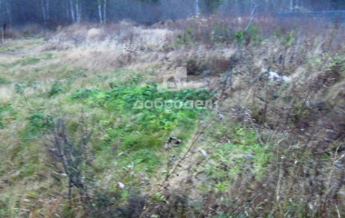 Березовский, п. Лосиный, К/с №21"Дружба"