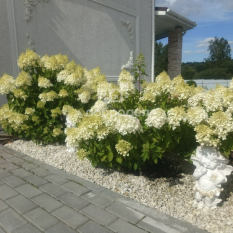 Коттедж | 180.00 м² 140