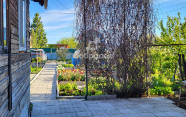 Екатеринбург, кол. сад Шиловский участок  № 11