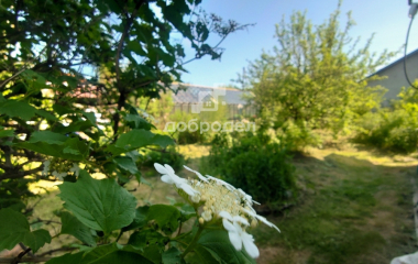 Свердловская обл. , п. Красный, СНТ "Перейма"