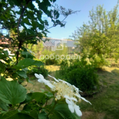 Участок | 119.00 сот. 00