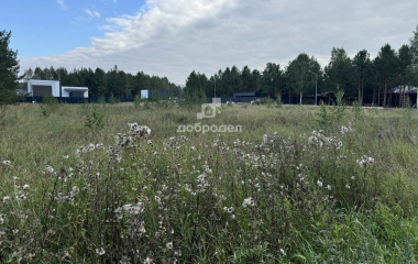 Екатеринбург, Свердловская область, Сысертский район, дп Заповедник, кв-л Снегири, уч.51