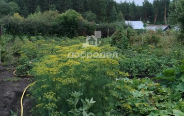 Курорт-Самоцвет, ул. Центральная