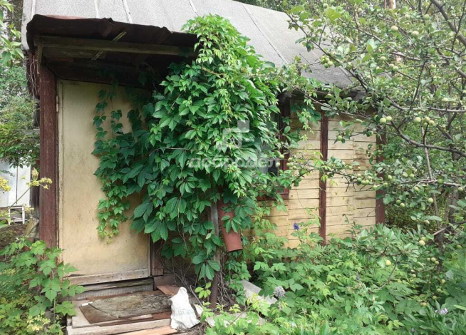 Участок | 30.00 сот.