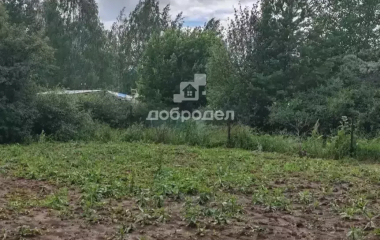 Каменск-Уральский,  Снт Электровозник-1