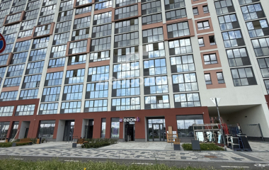 Екатеринбург, ул. Зои Пушкаревой,6