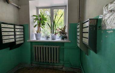 Екатеринбург, ул. Мира,50