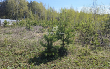 Гагарка, Ильинский ключ