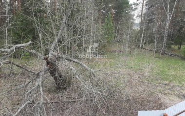 Первоуральск, СН ТСН Серебряные Сосны