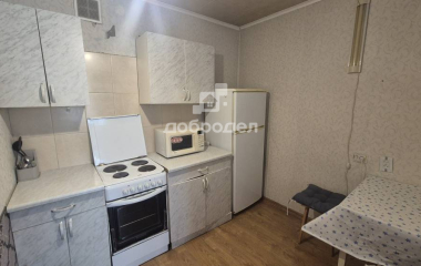 Екатеринбург, ул. Репина,21