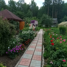 Участок | 54.00 сот. 61