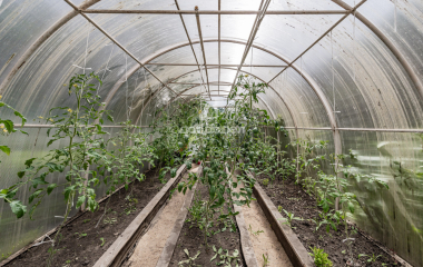 Екатеринбург, 9