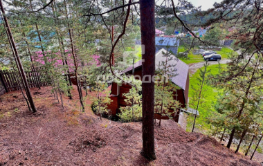 Старые Решеты, ул. Пушкина,1А