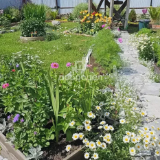 Дом | 0.00 м² 250