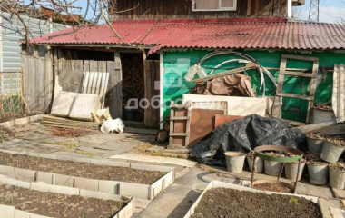 Екатеринбург, сад №3 снт Дружба